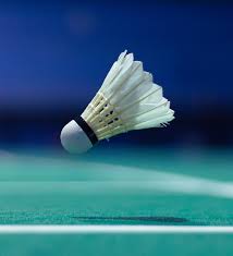 Image result for Paces Badminton Club