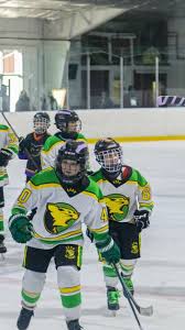 Image result for Havering Skater Hockey Club