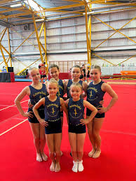 Image result for Avondale Gymnastics Club