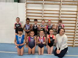 Image result for Pinewood Gymnastics Club