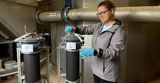 Attēlu rezultāti vaicājumam “Lycogala persicum”