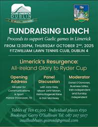 Image result for Limerick Draughts Club