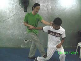Image result for William Lai - Wing Chun Kung Fu