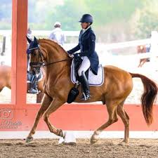 Image result for Fisher Equestrian