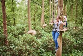 Image result for Go Ape! Alice Holt