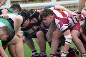 Image result for Lymm Rugby Union Football Club