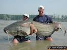 Big Fish Picture