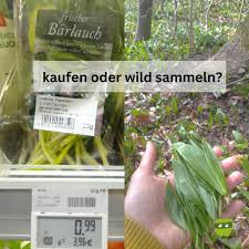 Image result for Bärlauch