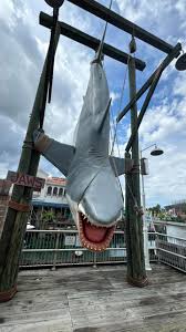 Image result for The Herne Bay & Whitstable Jetski & Watercraft Society (J A W S )