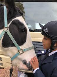 Image result for Civil Service Riding Club (Csrc)