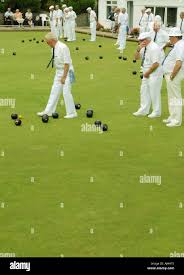 Image result for Lyme Regis Bowling Club