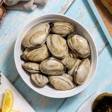 Image result for Clams