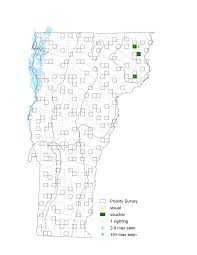 Attēlu rezultāti vaicājumam “Oeneis jutta underside”