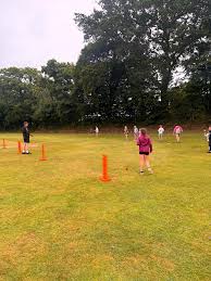 Image result for Whitchurch Wayfarers Cricket Club