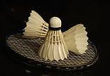 Image result for H C C Badminton Club