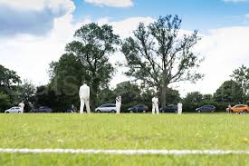 Image result for Laughton Cricket Club