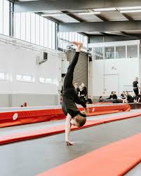 Image result for Portsmouth School Of Gymnastics