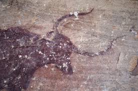 Image result for "Selva Pascuala"