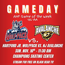 Image result for Ash Avalanche Skater Hockey Club