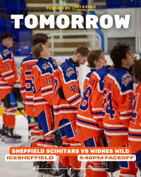 Image result for Sheffield Scimitars