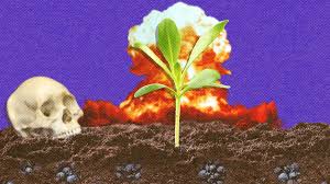 Image result for агент оранж