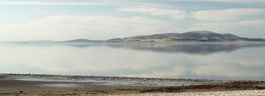 Image result for Solway