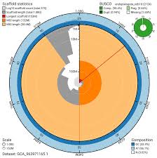 Attēlu rezultāti vaicājumam “Philopedon plagiatum”