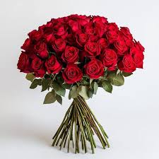 Image result for Red Rose Cc