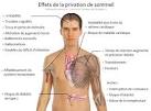 La <b>privation</b> totale de <b>sommeil</b>