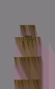 Attēlu rezultāti vaicājumam “Pistillaria sp.”