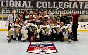 Image result for Letchworth Roller Hockey Club