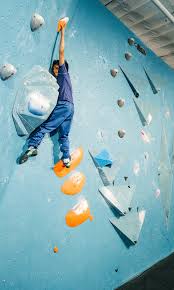 Image result for High Sports Climbing Wall