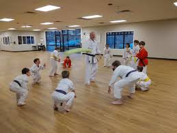 Image result for Hetton and Murton Karate Academy