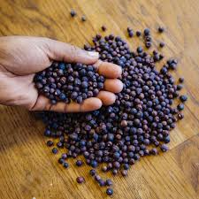 Attēlu rezultāti vaicājumam “Juniperus communis fruit”