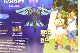 Image result for BARNET and WHETSTONE CHANGQUAN FLYING DRAGON