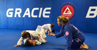 Image result for Tae-jitsu