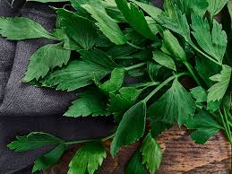 Image result for Liebstöckel