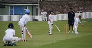 Image result for Carlton Cricket Club
