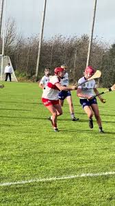 Image result for Green Isle Camogie Club - Players Wanted!