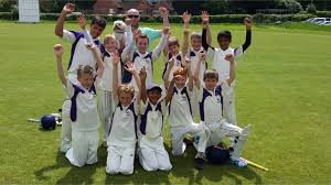 Image result for Henley Cricket Club