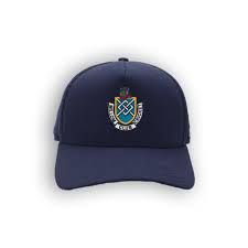 Image result for Millom Cricket Club