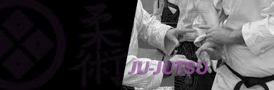 Image result for Ryuko Dojo