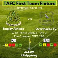 Image result for Tingley Athletic