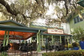 Image result for Enzian