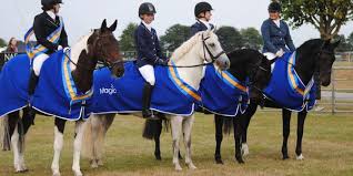 Image result for Huntingdon and District Riding Club