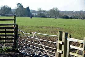 Image result for Virginia Water Fc