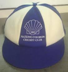 Image result for Nazeing Common Cricket Club