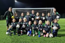 Image result for Hexham Ladies Netball Club