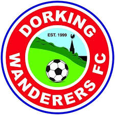 Image result for Dorking Wanderers F C