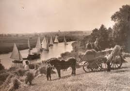 Image result for Beccles Amateur Sailing Club